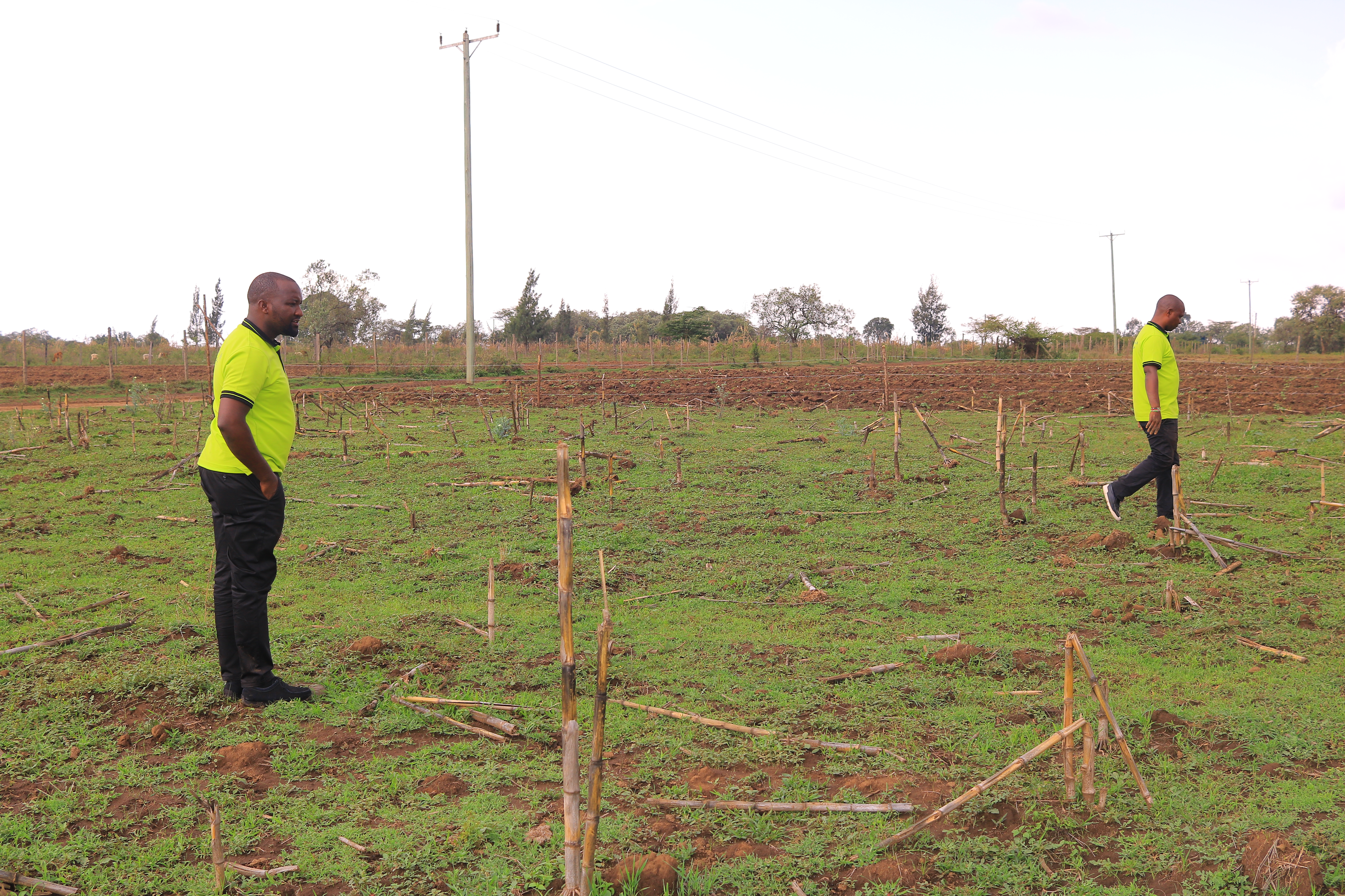 Tulivu Gardens Phase 3 plots for sale in Narok